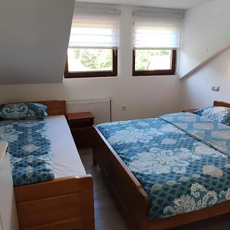 Διαμέρισμα Dvokrevetna Soba Petar *